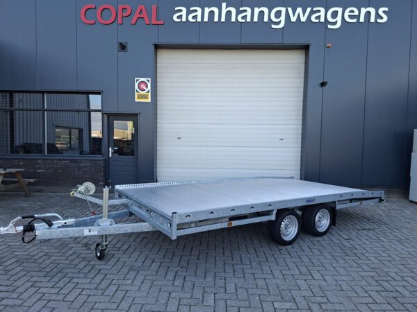 Hulco autotransporters