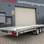 Hulco autotransporters